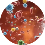 干細胞治療技術研發